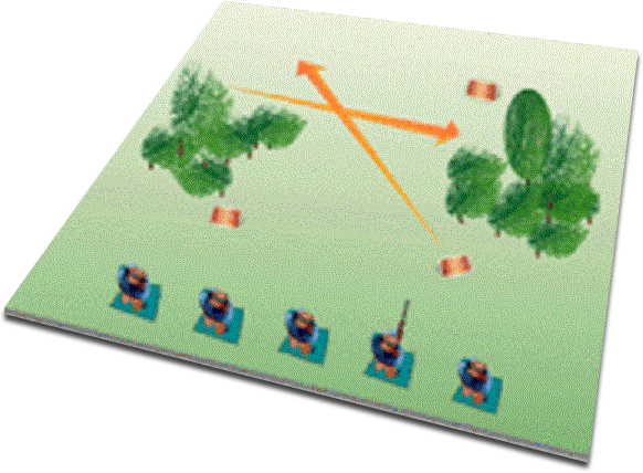 5-Stand Diagram